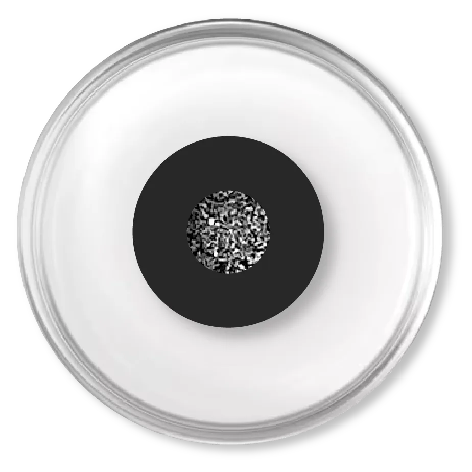 A magneto-active smart substrate in a culture dish