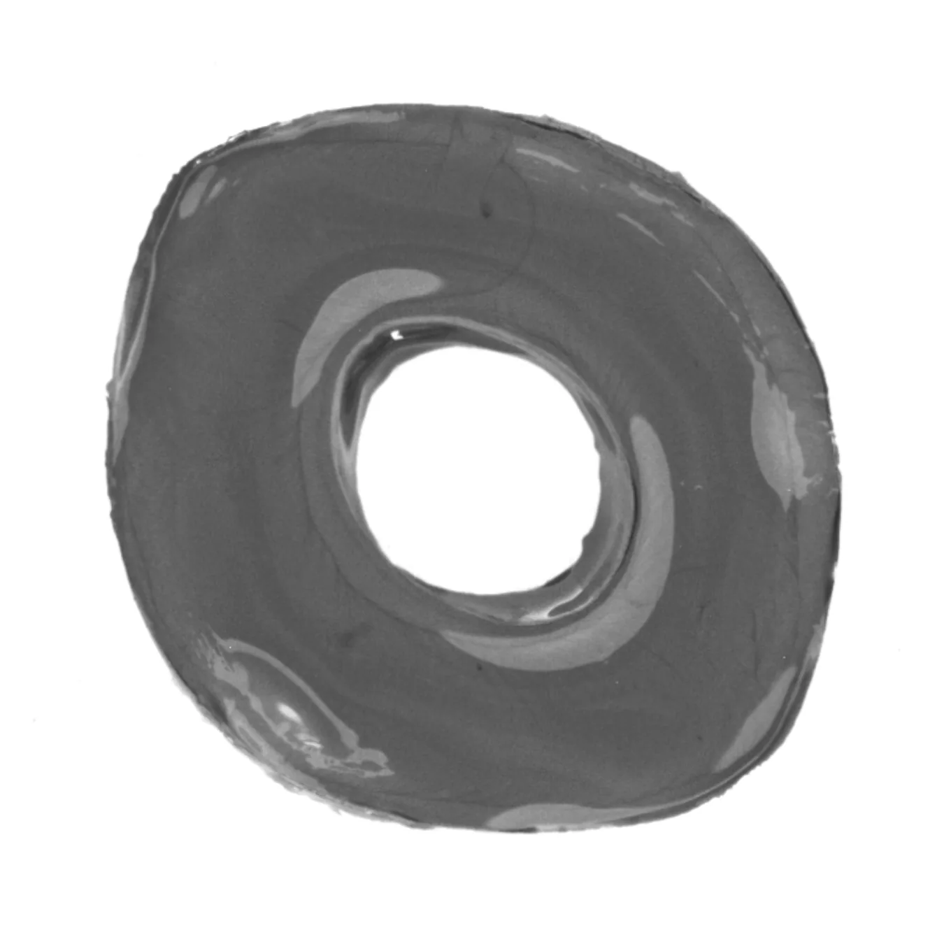 Magneto-active substrate deformed under field
